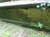 image of grave number 666013